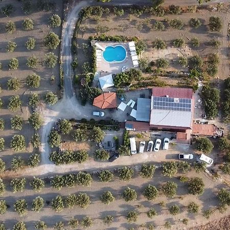 Terra Nostra Panzió Cattolica Eraclea Kültér fotó
